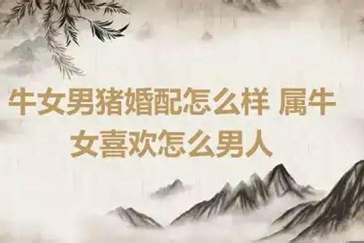 男属牛女属虎八字合不合