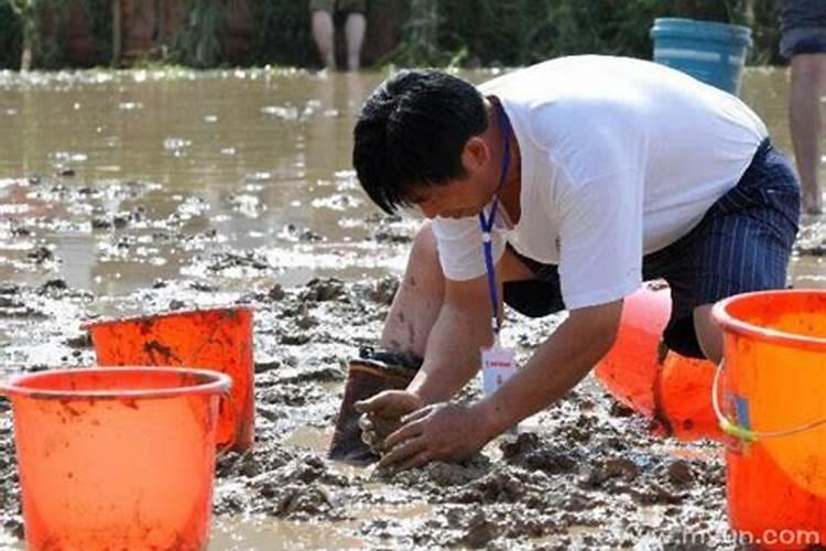 做梦梦见捉泥鳅是什么意思