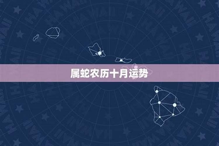 63年二月初四今年运势