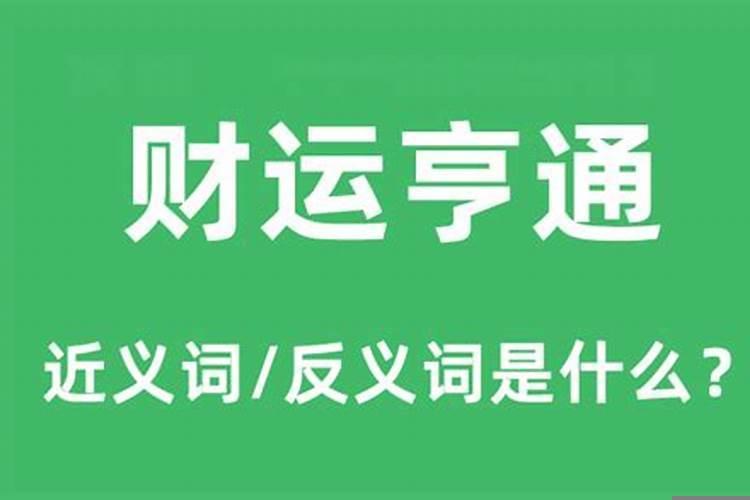 属鼠的人8月份运势2023年运势