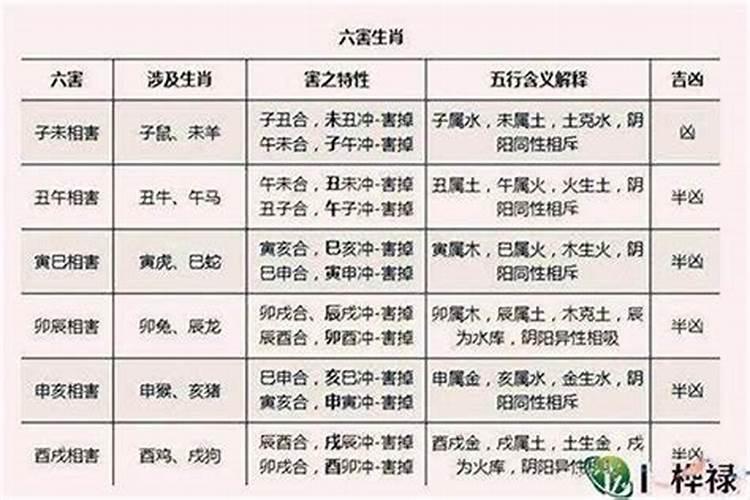 属相配婚准还是八字配婚准