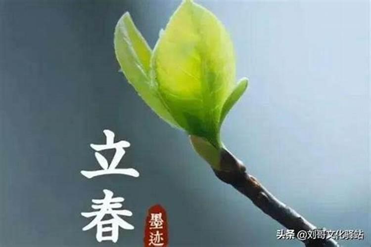 24节气立春什么意思