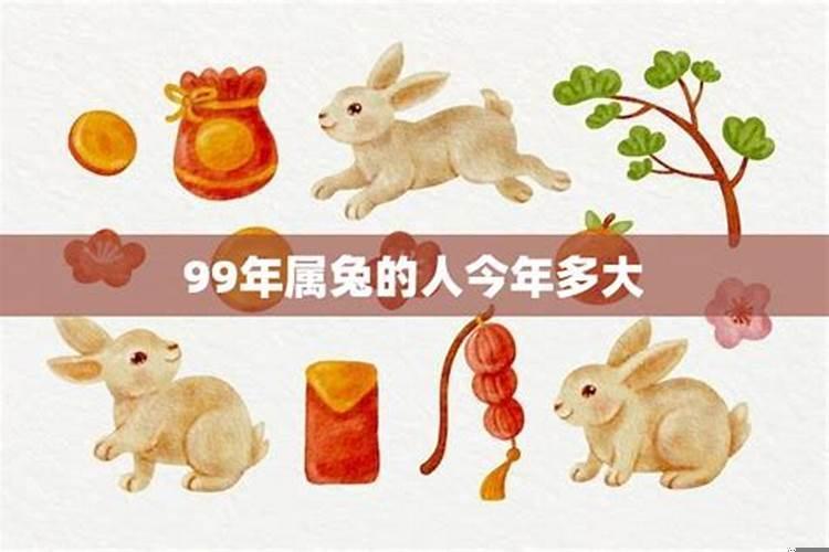 今年99年属兔的运程