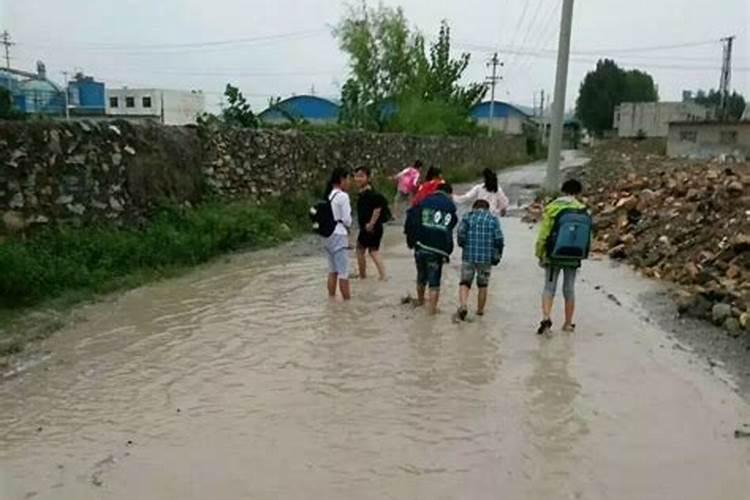 梦到大雨过后到处都是水