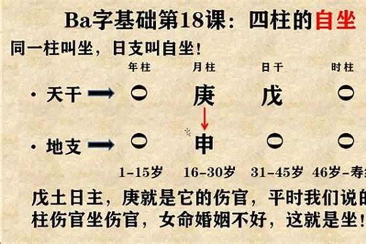 八字排盘中自坐是什么意思