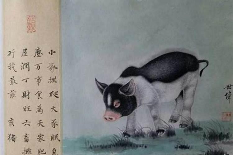 生辰八字双猪好吗