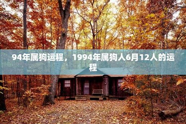 94年属狗24后运势如何