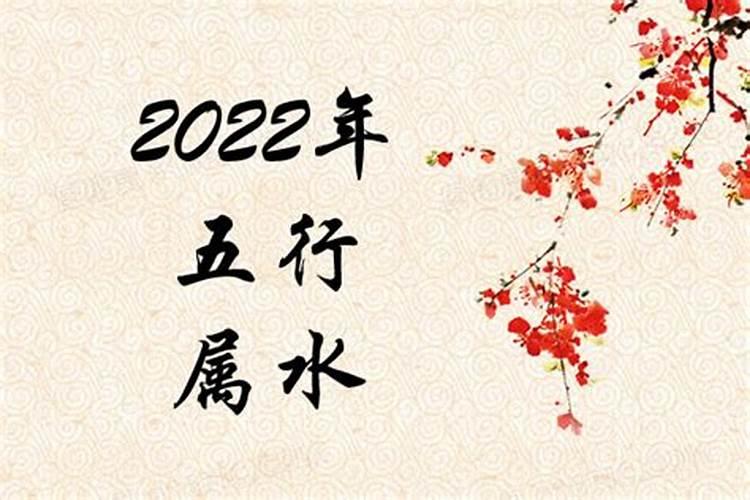 2022年属什么五行属性