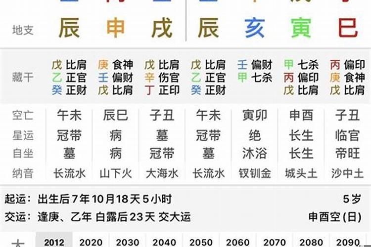 生辰八字中已日是什么意思