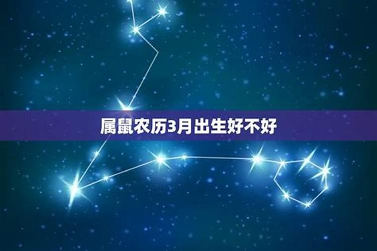 属鼠农历三月十五日