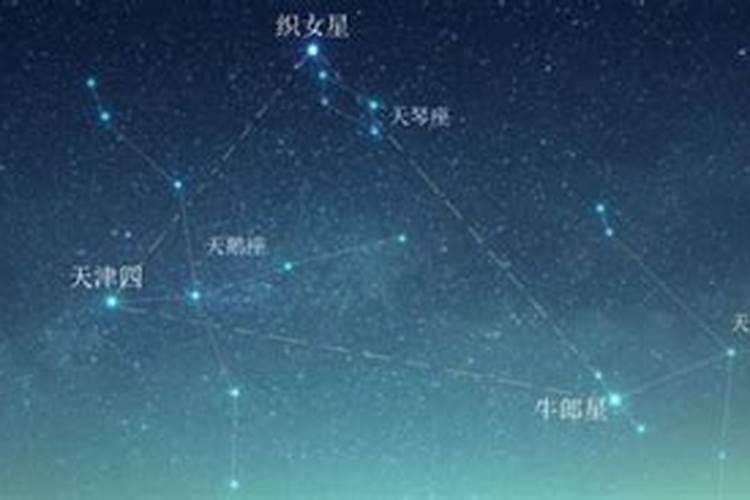 织女星是什么星座的主要标志