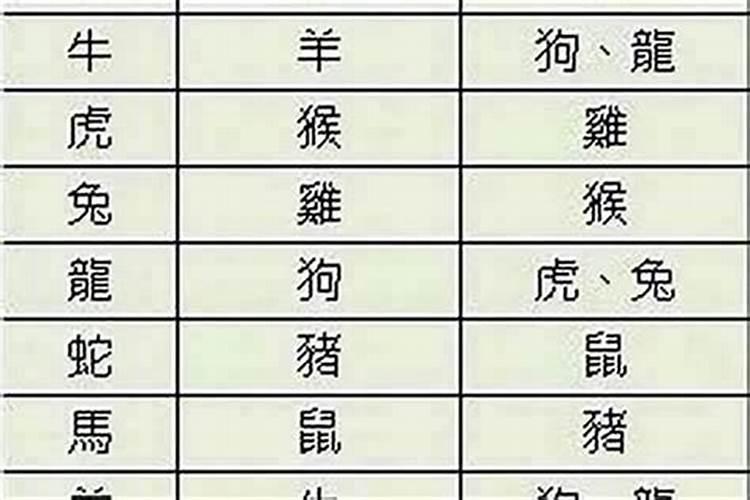 男属牛女属兔八字合不合