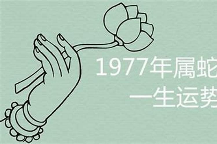 属蛇1988年一生运势