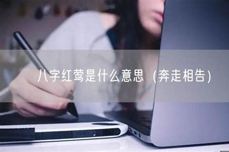 八字怎么看考试