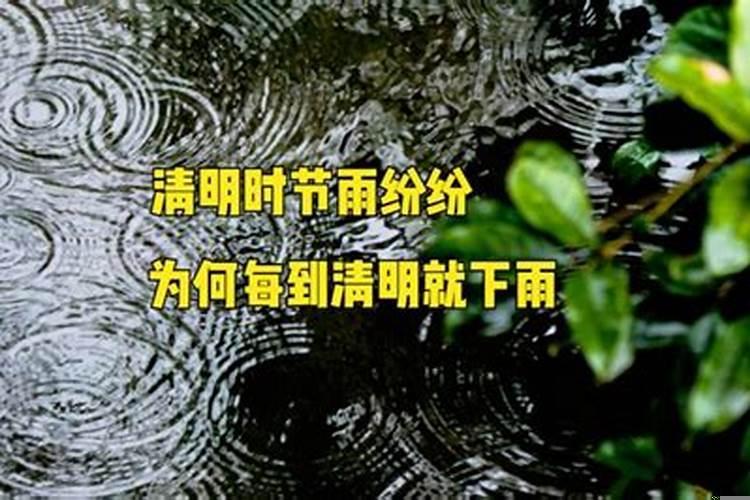 梦见清明节拜祭下雨