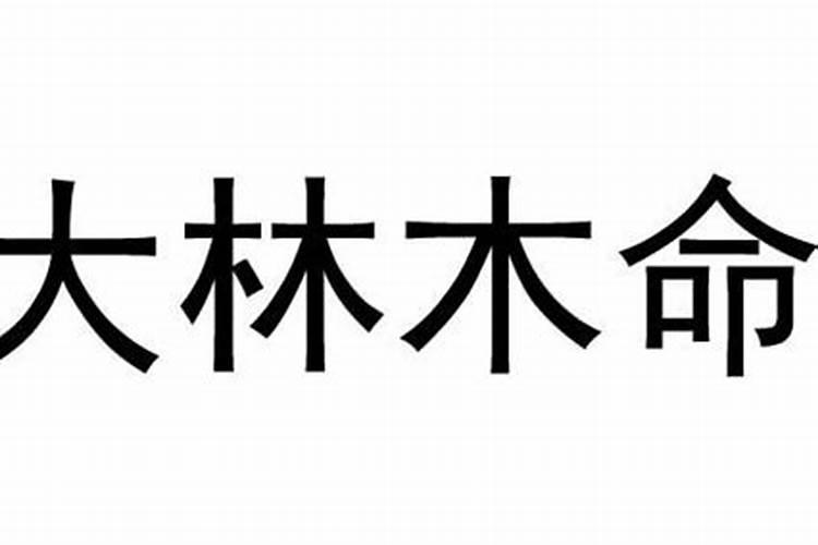 什么旺大林木的贵人