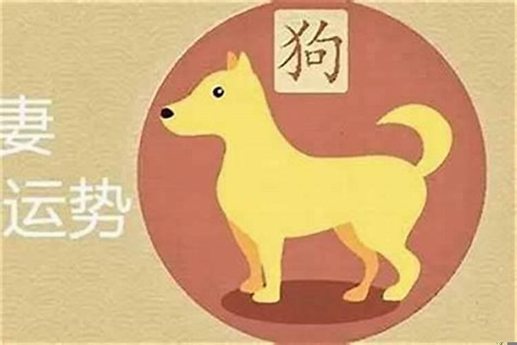 属兔婚配猴属相最好吗