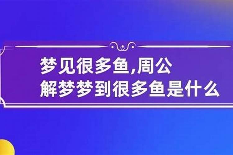 梦到好多鱼是什么意思