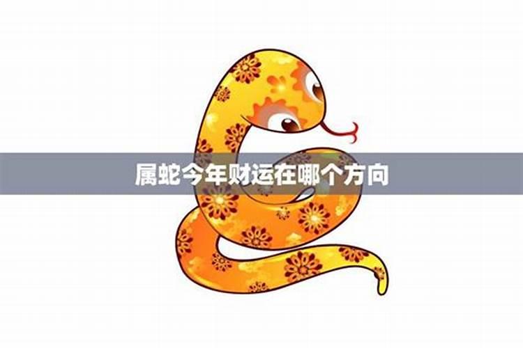 属蛇今年财运如何2020