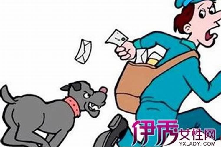 梦见狗跑了是什么意思