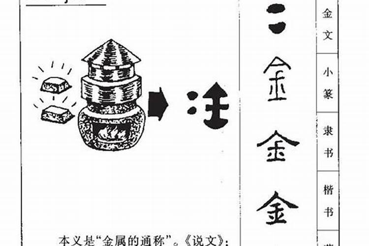 金字准确生肖