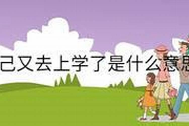 梦到自己又回学校上学