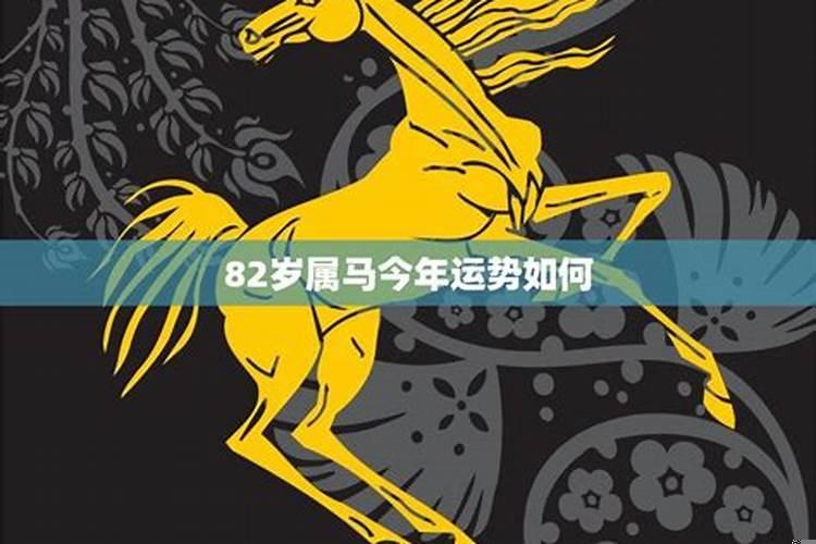 属马今年7月投资运势