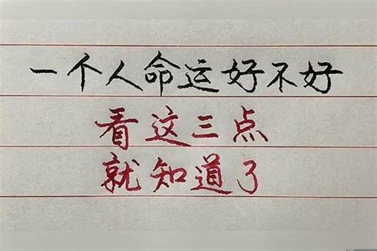 梦见母校变得很漂亮