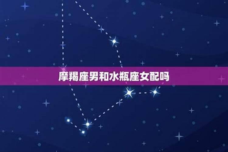 星座配对率高的八字合吗