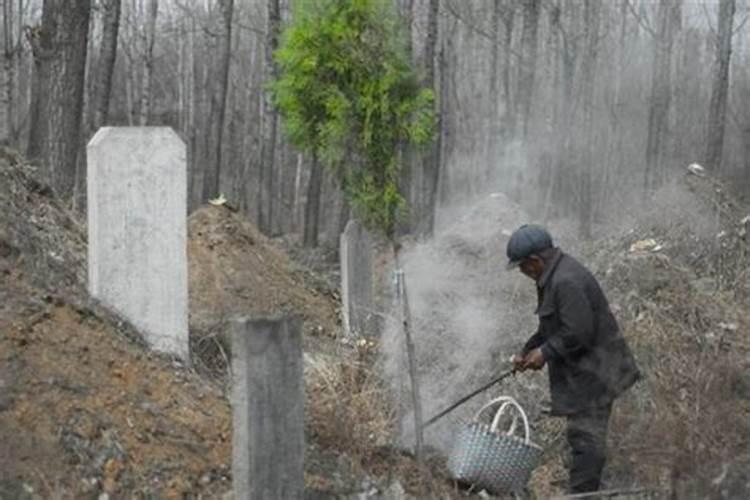 梦见鱼大鱼在水里游来游去