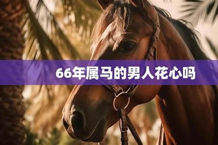 66属马男什么运势