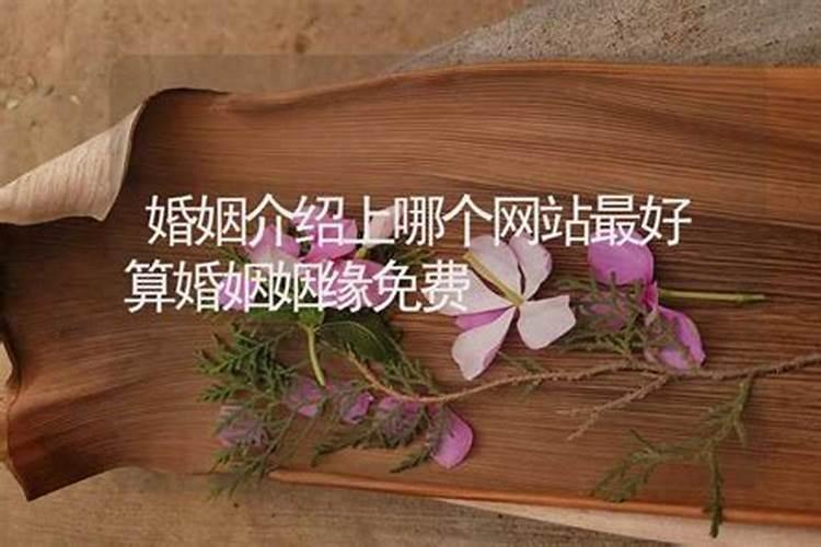 梦到自己的车被撞了什么预兆