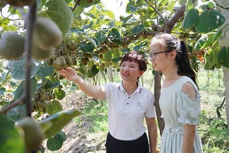 属虎的女人婚姻都不顺利吗