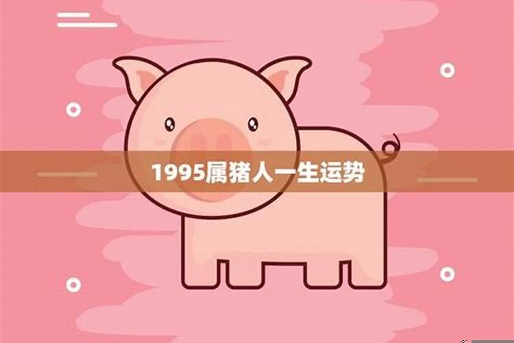 1995出生的猪一生运势