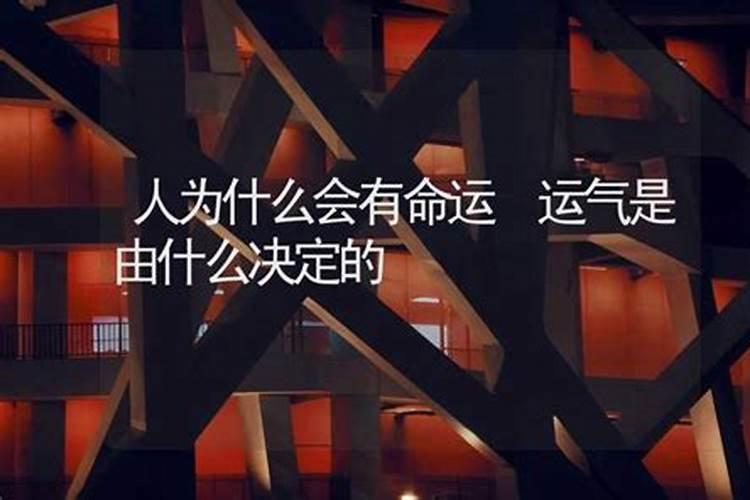 命运是由什么来决定的