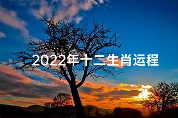 2022年十二生肖运势大家找网