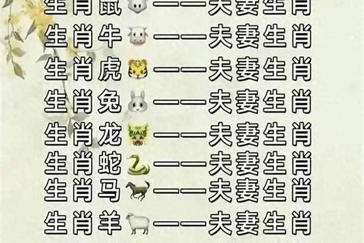 12生肖夫妻婚配表