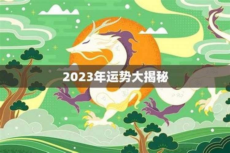 龙女今年运势很差