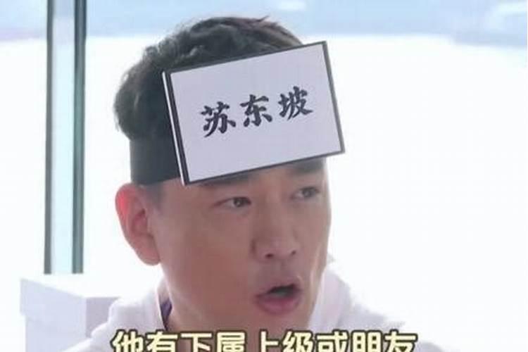 苏东坡属什么生肖打一动物名称