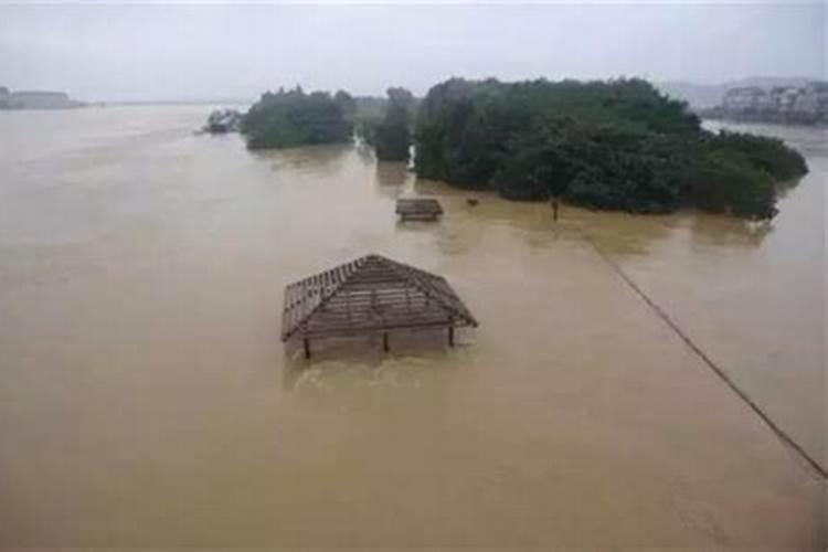 梦到下大雨发洪水被困