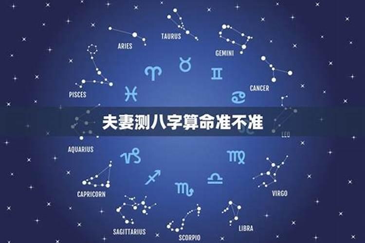 属马的有几个星座