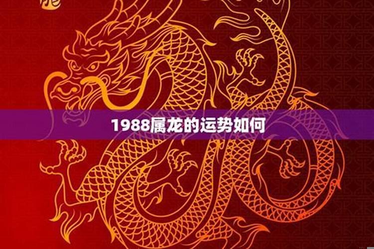 1988属龙的今年月运势