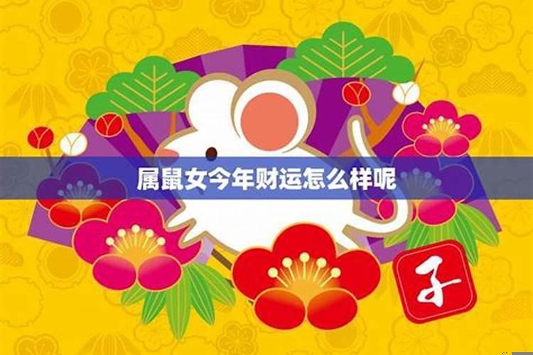 女性属鼠今年运势如何