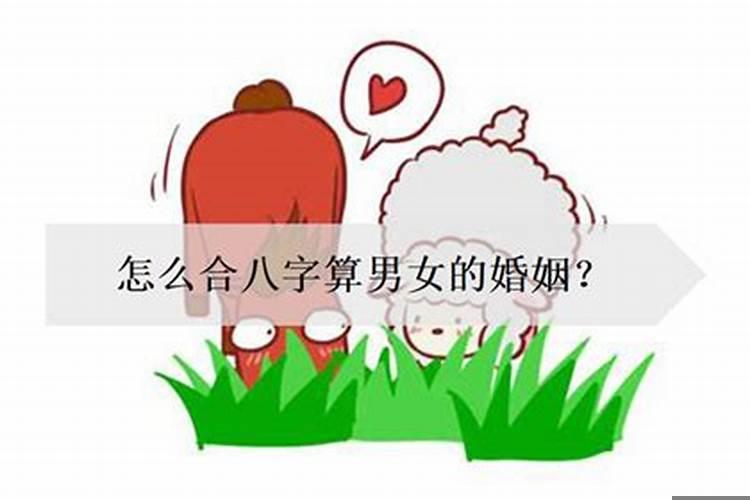 男女怎么合婚