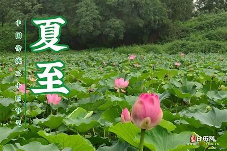 明天几点进夏至节气