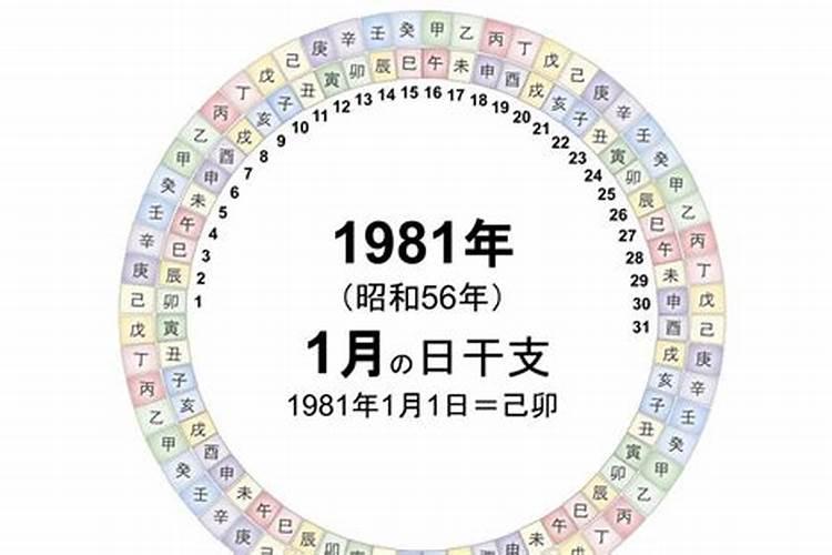 1981年四柱