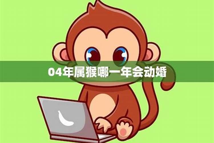 属猴哪一年运程好