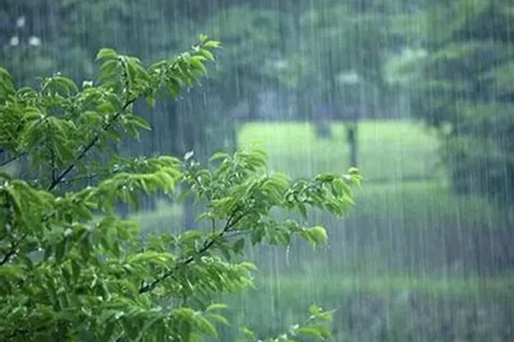 怀孕梦见下雨淋雨了