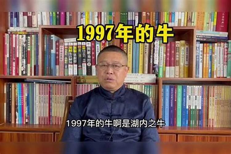 1997年出生属牛的运势