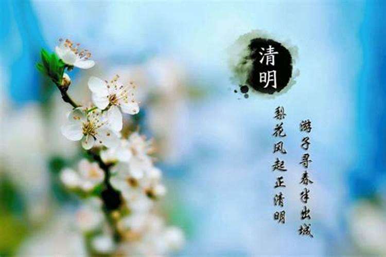 清明节日风俗寄托的祝愿与情感